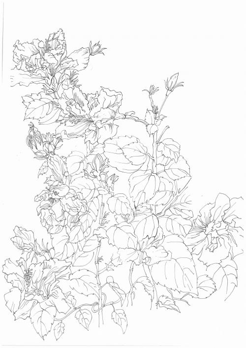 马斯特里赫特美术学院文凭