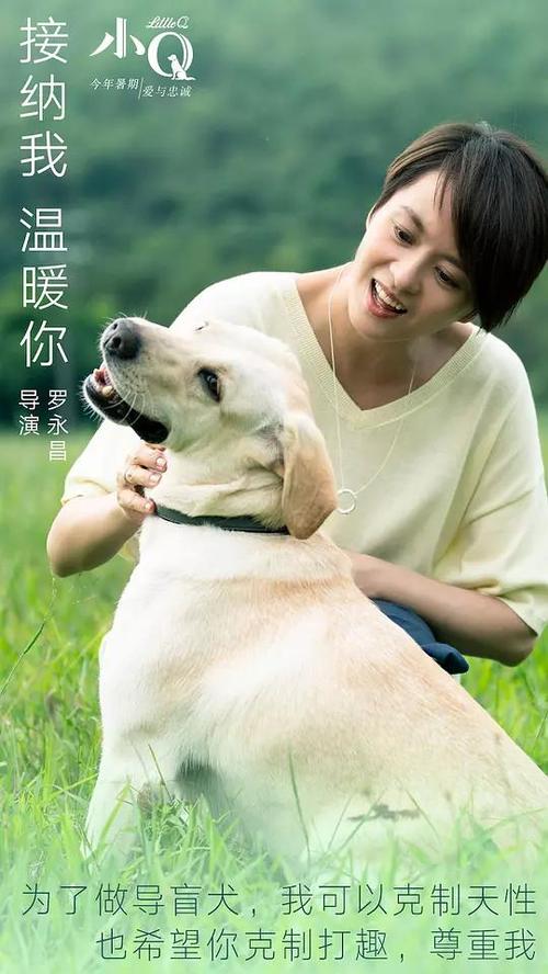 买个假的加拿大工卡